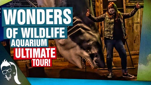 Wonders of Wildlife TPF Travel Plus | Trips Places and Fun